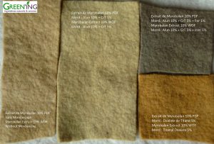 Natural dye of wool felt with Myrobalan extract and severals mordents