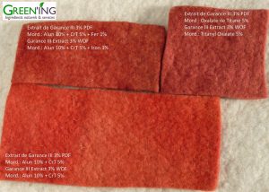 Natural dye of wool felt with Madder extract and severals mordents