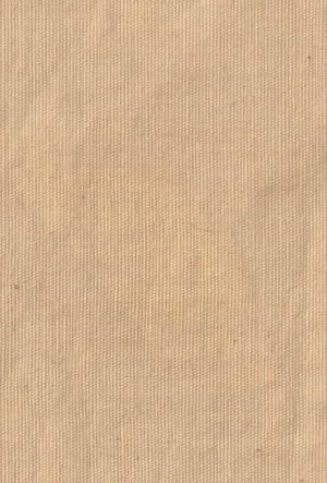 Teinture Acacia Coton / Dyeing Cotton Acacia - ©GREEN'ING