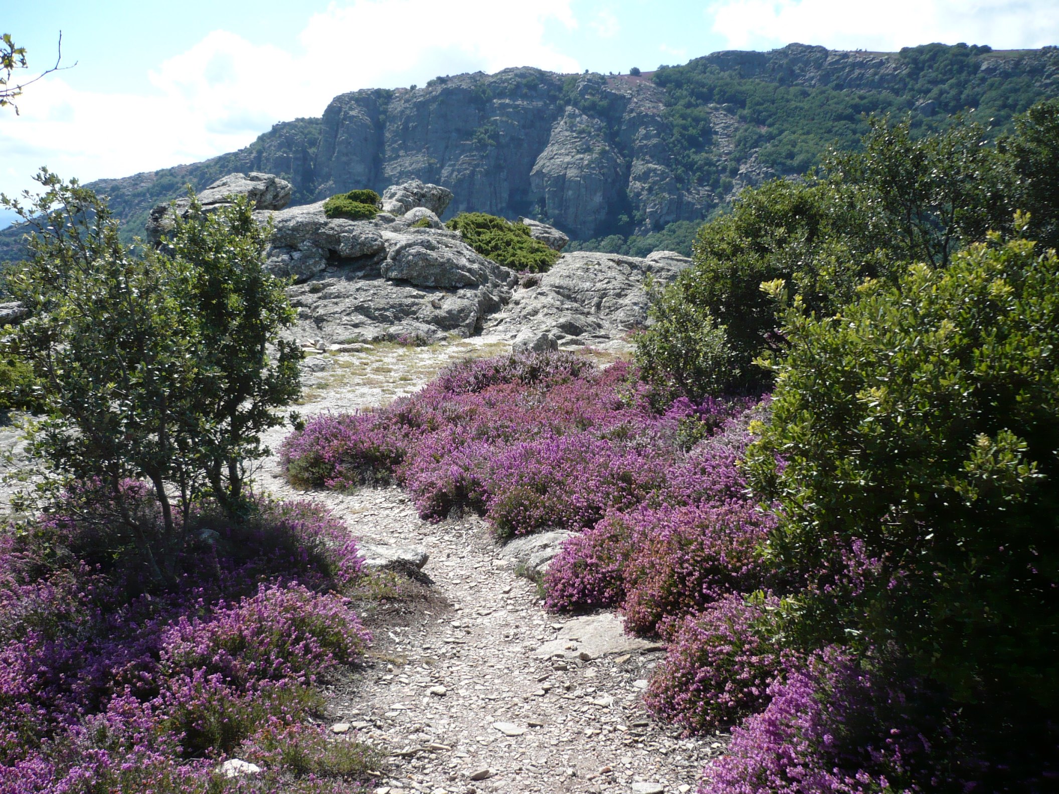 GREEN’ING dans l’Hérault – des couleurs naturelles et des sources