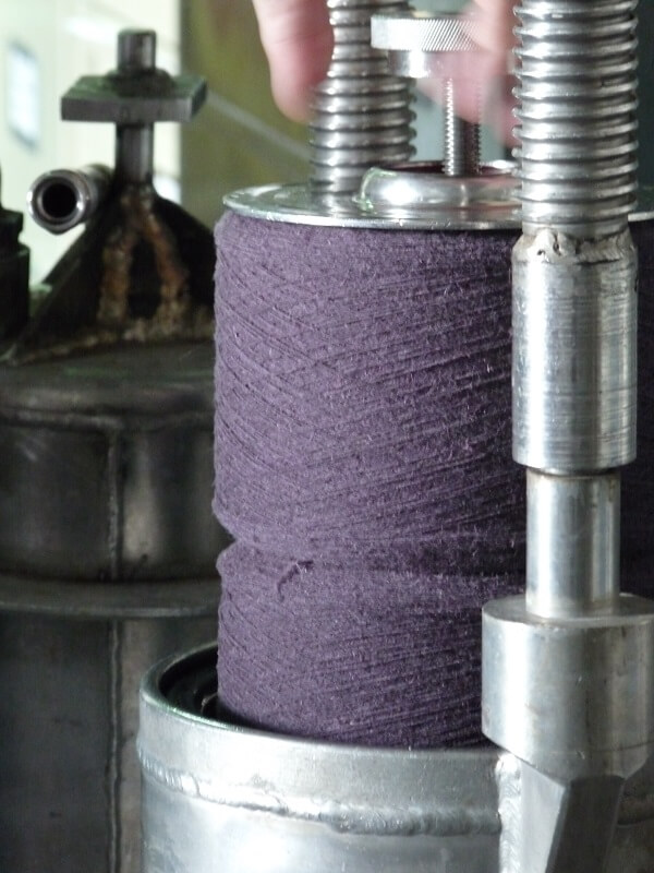 SynergieFrançaiseP1110340