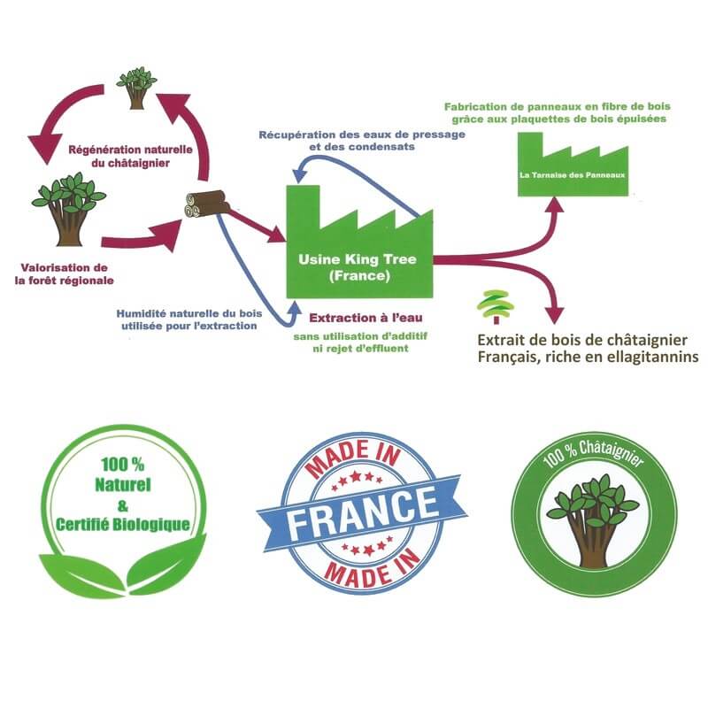 Extrait de bois de chêne : Extraction du conservateur, finition des tanins  et maturation de