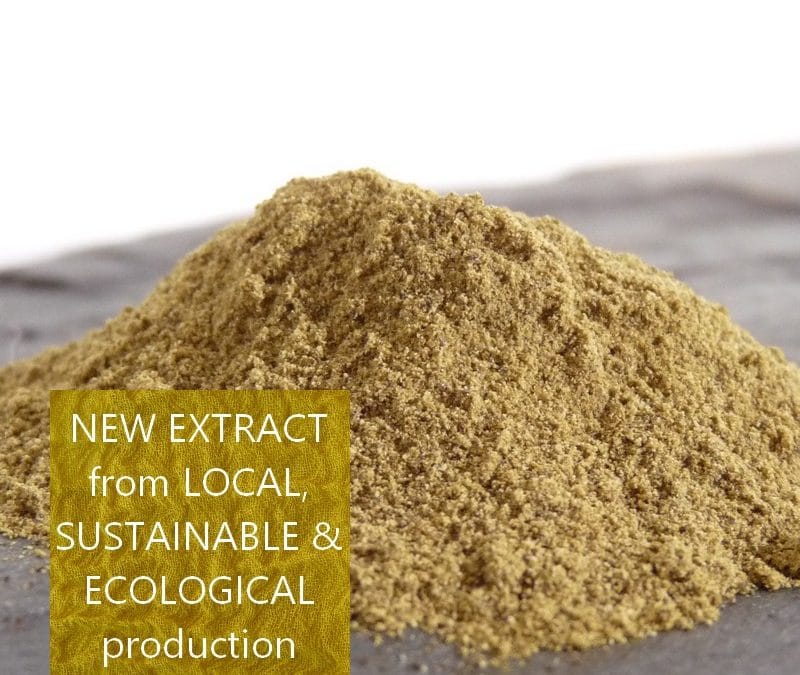 Weld extract from Occitania