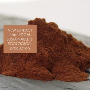 Chestnut extract from Occitania ©GREEN'ING