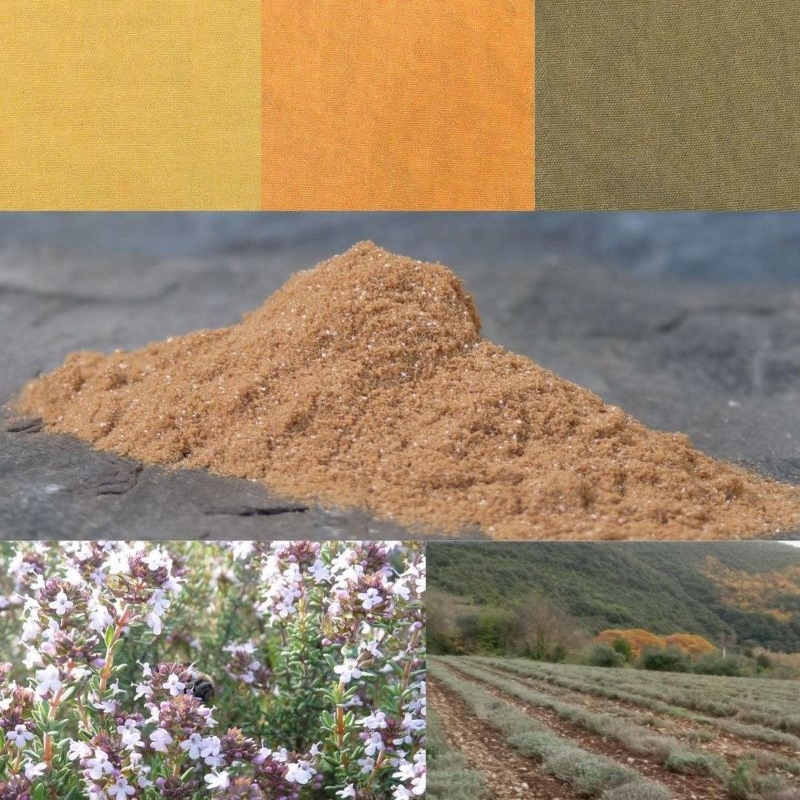 Thym800x800 Extrait de thym / Thyme extract - Occitanie ©GREEN'ING