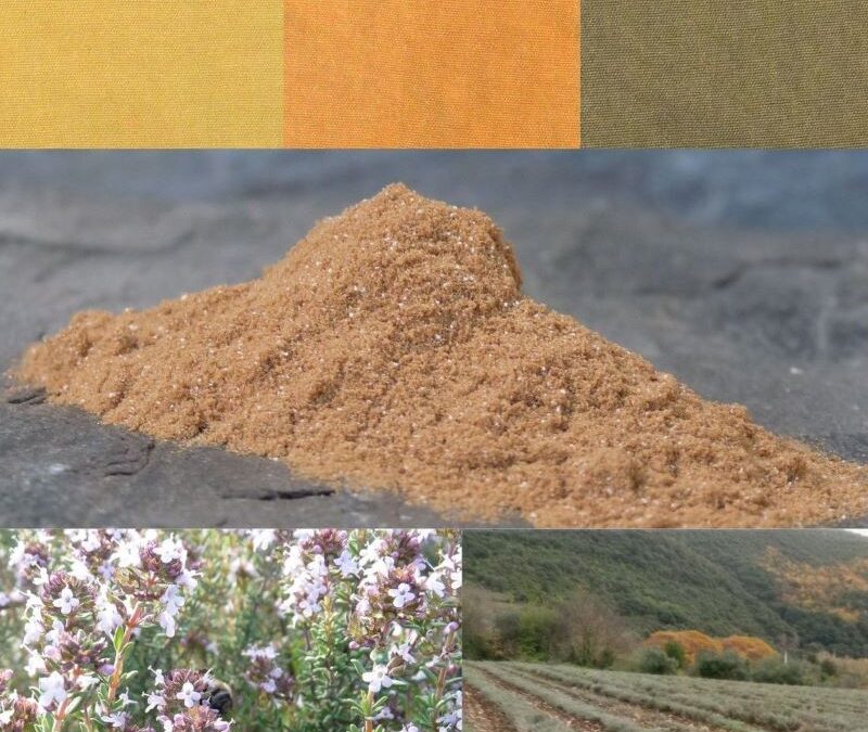 NATURAL DYE FROM THYME
