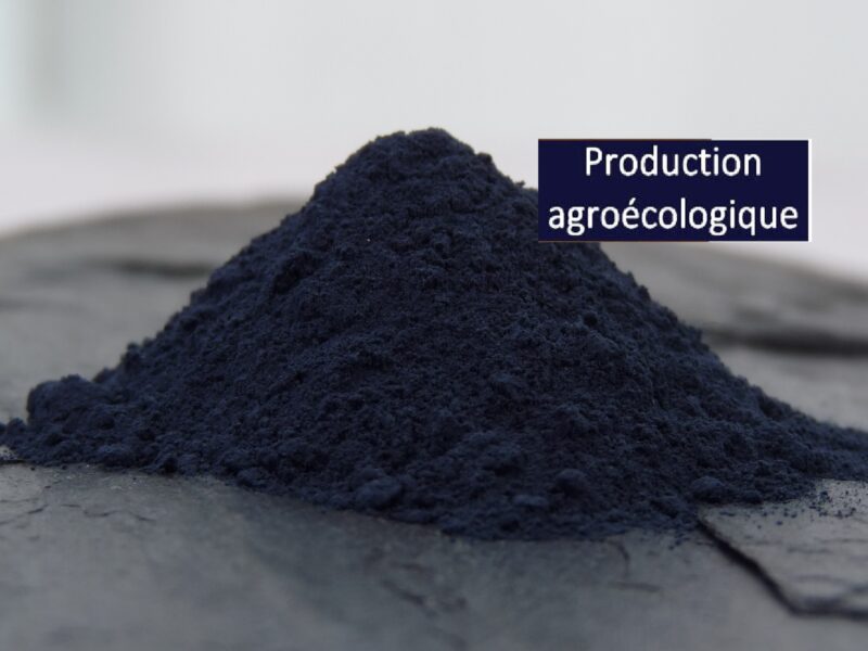 Natural indigo from Guadeloupe