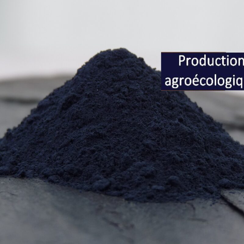 Indigo naturel de Guadeloupe