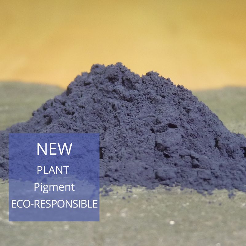 Indigo naturel de pastel / Woad natural indigo ©GREEN'ING