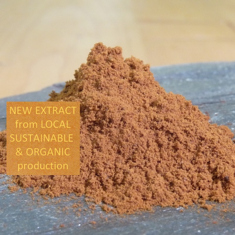 Extrait de Coréopsis / Coreopsis extract (Coreopsis tinctoria Nutt.) ©GREEN'ING